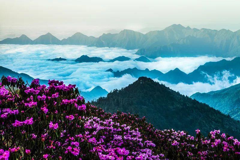 吴鑫郁：如鲸向海 破浪前行