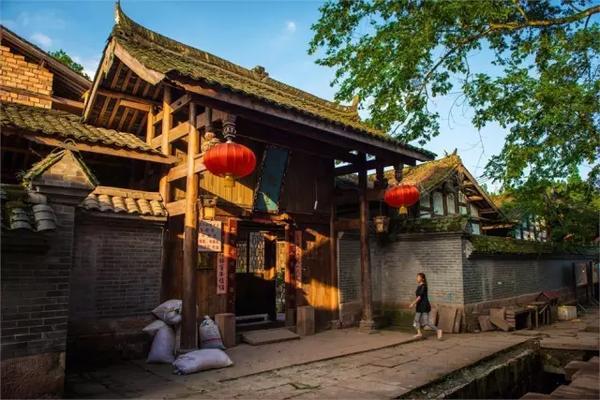 无休止的树